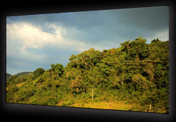 Scenic sunset lighting. RM stock photo taken at Christiana Area, Jamaica.